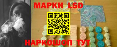 шишки Заволжье