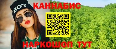 шишки Заволжье