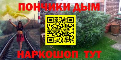 шишки Заволжье