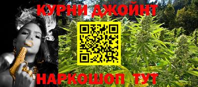 шишки Заволжье