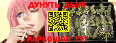 тгк Заводоуковск