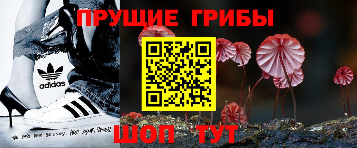 Ливны  Галлюциногенные грибы MAGIC MUSHROOMS  купить наркотик  Галлюциногенные грибы Psilocybe  Вход с VPN 